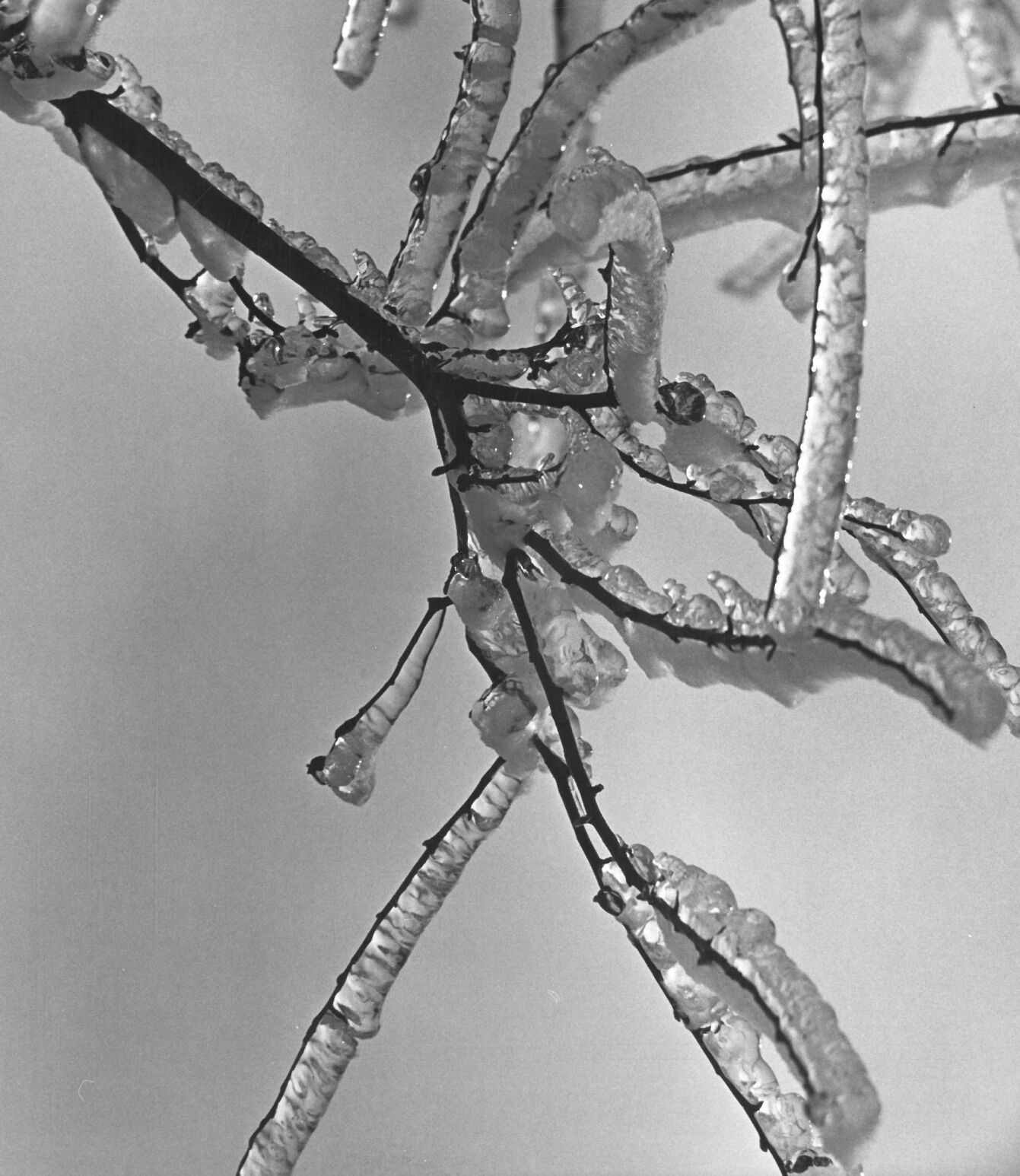 Icicles